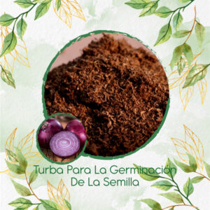 Sustratos Para Cebolla Roja