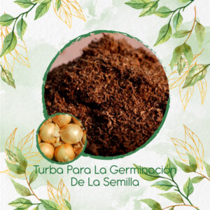 Sustratos Para Cebolla Texas