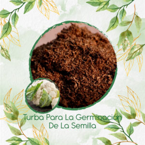 Sustratos Para Coliflor