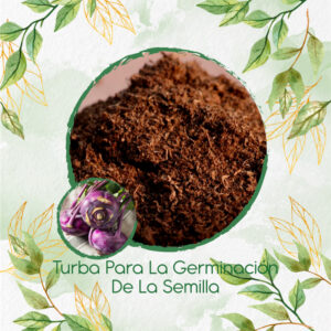 Sustratos Para Kohlrabi Rojo