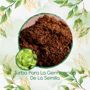 Sustratos Para Lechuga Boston