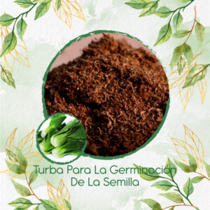 Sustratos Para Pak Choi