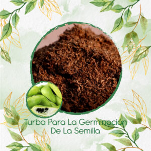 Sustratos Para Pepino Relleno