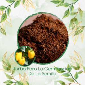 Sustratos Para Pimentón Cuadrado Amarillo