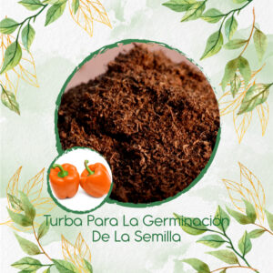 Sustratos Para Pimentón Naranja