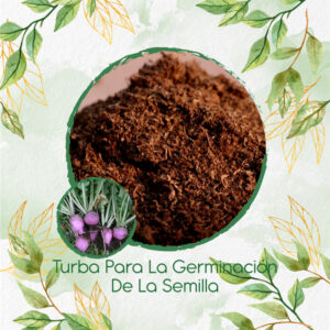 Sustratos Para Rábano Hoja Morada