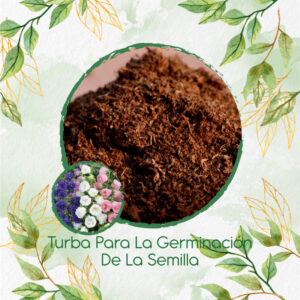 Sustratos Para Campánula