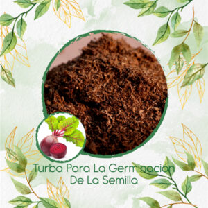 Sustratos Para Remolacha