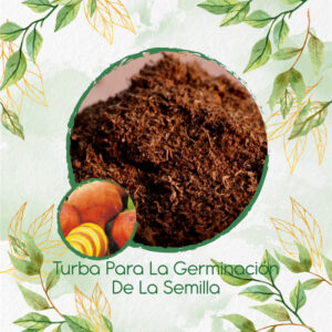 Sustratos Para Remolacha Amarilla