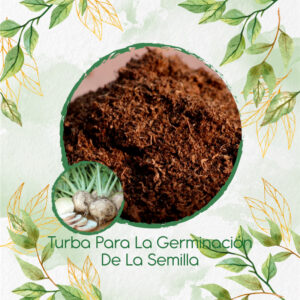 Sustratos Para Remolacha Blanca