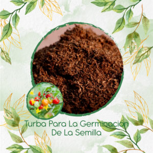 Sustratos Para Tomate Cherry Perla