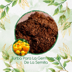 Sustratos Para Tomate Cherry Amarillo