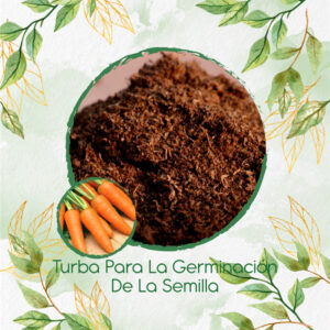 Sustratos Para Zanahoria Royal