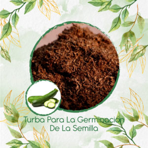 Sustratos Para Zucchini Enano Verde