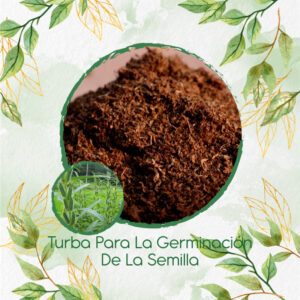 Sustratos Para Ajonjolí