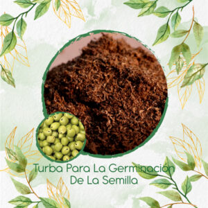 Sustratos Para Arveja Pequinegra