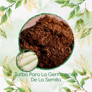 Sustratos Para Maíz Blanco