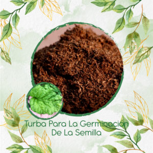 Sustratos Para Albahaca Lechuga