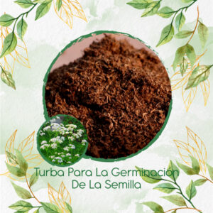 Sustratos Para Anís Pimpinela