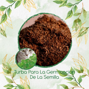 Sustratos Para Menta Para Gato