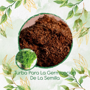 Sustratos Para Eneldo