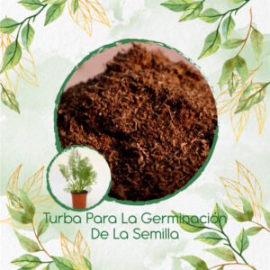 Sustratos Para Hinojo