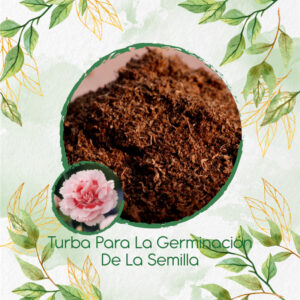 Sustratos Para Clavel Mezcla