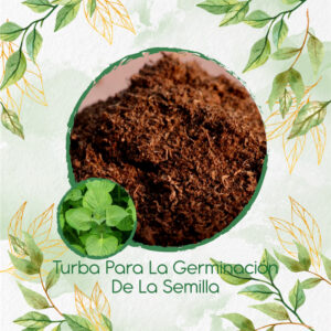 Sustratos Para Shiso Verde