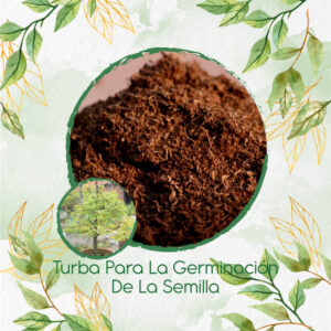 Sustratos Para Bonsái Abarco