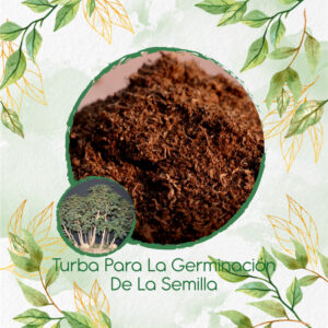 Sustratos Para Bonsái Acacia Bracatinga