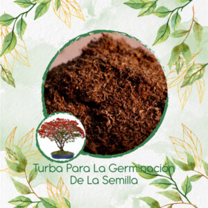 Sustratos Para Bonsái Acacia Roja