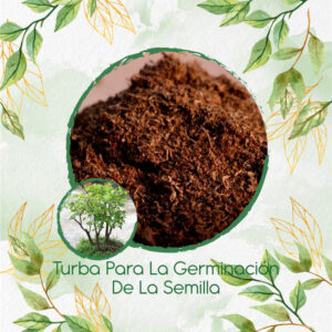 Sustratos Para Bonsái Cámbulo