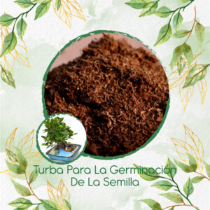 Sustratos Para Bonsái Caucho Sabanero