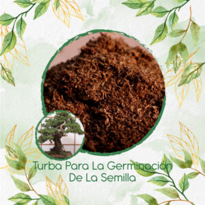 Sustratos Para Bonsái Cedro Negro