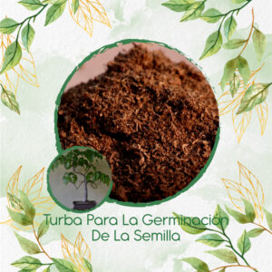 Sustratos Para Bonsái Ceiba Amarilla