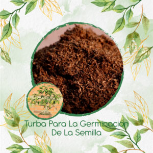 Sustratos Para Bonsái Chicalá - Fresno