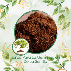 Sustratos Para Bonsái Dinde Mora