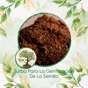 Sustratos Para Bonsái Eucalipto