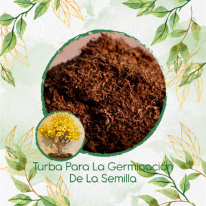 Sustratos Para Bonsái Guayacán Amarillo