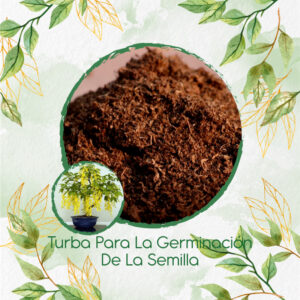 Sustratos Para Bonsái Lluvia De Oro