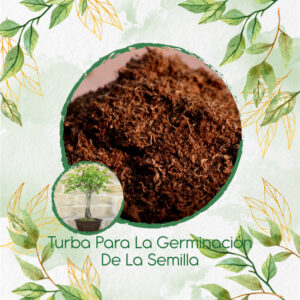 Sustratos Para Bonsái Nogal Cafetero