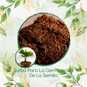 Sustratos Para Bonsái Palma Abanico