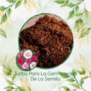 Sustratos Para Clavel Chabaud Granadina-Grenadin