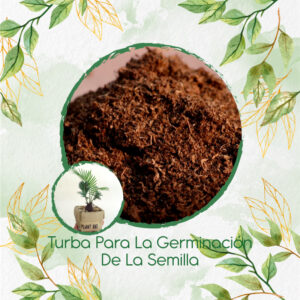 Sustratos Para Bonsái Palma De Cera