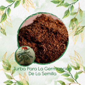 Sustratos Para Bonsái Tulipán Africano