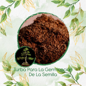 Sustratos Para Bonsái Urapan