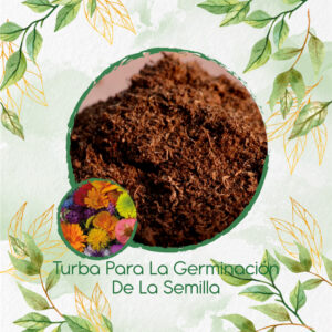 Sustratos Para Flores Silvestres