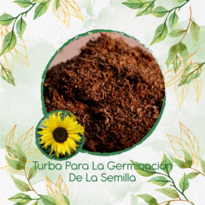 Sustratos Para Girasol Bambino