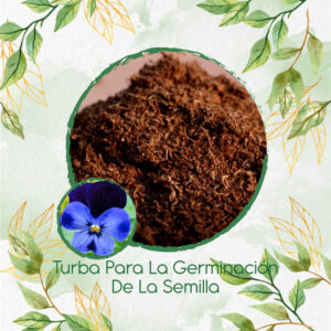 Sustratos Para Pensamiento Azul