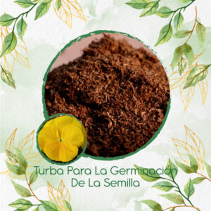 Sustratos Para Pensamiento Amarillo